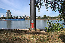 Bernhard Saalfeld - Blumenmdchen